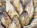 Deep fried Snakeskin gourami fish with spawns on white arches oil paper sheet