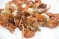 Deep fried soft shell crab Royalty Free Stock Photo