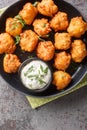 Deep-Fried Southern Cornmeal Hush Puppies served with tartar sauce closeup on the plate on the table. Vertical top view Royalty Free Stock Photo