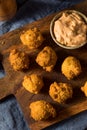 Deep Fried Southern Hush Puppies Royalty Free Stock Photo