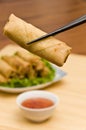 Deep Fried Spring Rolls