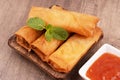 Deep fried spring rolls also known as popia malaysian food Royalty Free Stock Photo