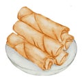 Deep-Fried spring rolls, Thai food watercolor hand paint