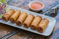 Deep fried spring rolls and vegetables on plate Royalty Free Stock Photo