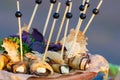 Deep fried spring rolls and vegetables on plate Royalty Free Stock Photo