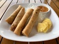 Deep Fried Thai Spring Rolls with a Dipping Sauce Royalty Free Stock Photo