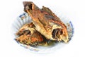 Deep Fried Tilapia fish fried on dish isolate on white Royalty Free Stock Photo