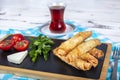 Deep Fried Turkish Sigara Shaped Rolls Spring roll Sigara Borek. Sigara Boregi Turkish fried dough borek Royalty Free Stock Photo