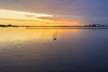 Deep golden colorful sunrise over violet tranquil lake, bird, bo