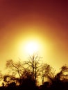 Deep golden sky amidst the blazing sun. Royalty Free Stock Photo