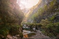 Deep Gorge in the mountains of Italy. Royalty Free Stock Photo