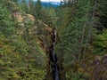 Deep Gorge Mt. Rainier National Park