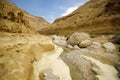 Deep gorge - wadi Zeelim in Judea desert, Israel. Royalty Free Stock Photo