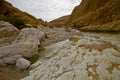 Deep gorge - wadi Zeelim in Judea desert, Israel. Royalty Free Stock Photo