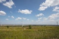 Deep in the grassland outdoors