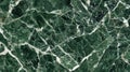 Deep green marble with complex white veining and subtle golden accents. Royalty Free Stock Photo