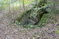 A deep hole in the forest floor