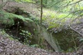 A deep hole in the forest floor