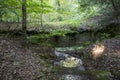 A deep hole in the forest floor