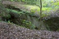 A deep hole in the forest floor