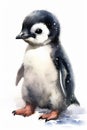 A Deep Marine Animal: The Pen Penguin Snowflake Head Princess Pa