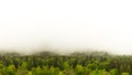Deep mist in the mountains. View over the forest from the high. Scenic nature element for design. Nature background