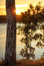 Deep morning dawn with highlights in the orange rays of the summer sun on the road against a grove of trees and a river on a Royalty Free Stock Photo