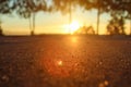 Deep morning dawn with highlights in the orange rays of the summer sun on the road against the trees grove on blurred background Royalty Free Stock Photo