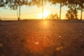 Deep morning dawn with highlights in the orange rays of the summer sun on the road against the trees grove on blurred background Royalty Free Stock Photo