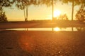 Deep morning dawn with highlights in the orange rays of the summer sun on the road against the trees grove on blurred background Royalty Free Stock Photo