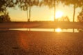 Deep morning dawn with highlights in the orange rays of the summer sun on the road against the trees grove on blurred background Royalty Free Stock Photo