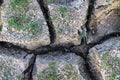 Deep mud cracks Royalty Free Stock Photo