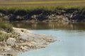 Deep mud and peat of Blackbeard Creek, Harris Neck, Georgia.