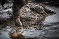 Deep muddy water with feet splashing and climbing out of the mud Royalty Free Stock Photo