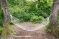 Deep in the nature relaxing place with a hammock.