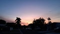 Suburban Sunset with cars, trees, houses and powerlines