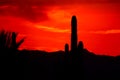 Deep Orange Sun Setting Sky in Apache Junction Royalty Free Stock Photo