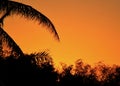 Deep orange sunset colors background of treelined bay in Marathon Key bay