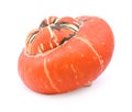 Deep orange turban squash in profile with colourful, striped centre