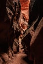 Deep Orange Wall Rises At The End Of A Narrow Corridoor of Buckskin Gulch