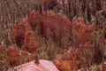 Deep oranges and reds of Bryce Canyon in the shadows Royalty Free Stock Photo