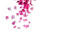 Deep pink rose petals falling from the top Royalty Free Stock Photo