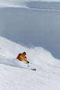 Deep powder skiing Royalty Free Stock Photo