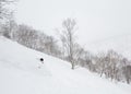 Deep powder skiing in Niseko, Japan Royalty Free Stock Photo