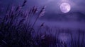 Deep purple hues engulf a moonlit meadow its grasses swaying in the gentle breeze as the full moon reflects in a nearby Royalty Free Stock Photo