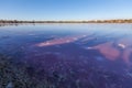 Deep purple pink surface of a salt Lake Hardy, Murray-Sunset Nat Royalty Free Stock Photo