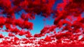 Deep Red Clouds Royalty Free Stock Photo