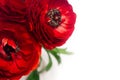 Deep red flower bouquet closeup with copy space on white wood background. Festive summer backdrop.
