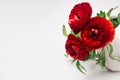 Deep red flower bouquet in vase with copy space on white wood background. Festive summer backdrop. Royalty Free Stock Photo