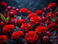 Deep Red flowers on a dark background. generative AI Royalty Free Stock Photo